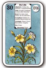 Karmische Legung: 30